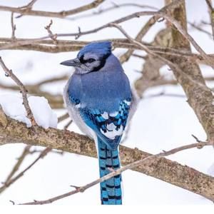 Meet your Posher, Ann